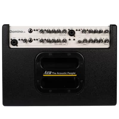 AER Domino 2A | 100W 2x8" +Tweeter Acoustic Combo. New with Full Warranty! image 2