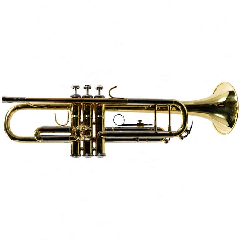 Bach BTR301 Student Bb Trumpet in Lacquer SN T31915 image 1