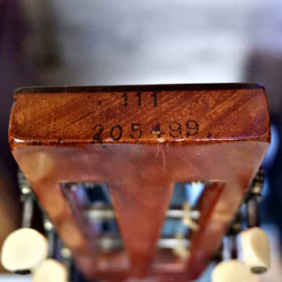 1915 Washburn Parlor Guitar image 12