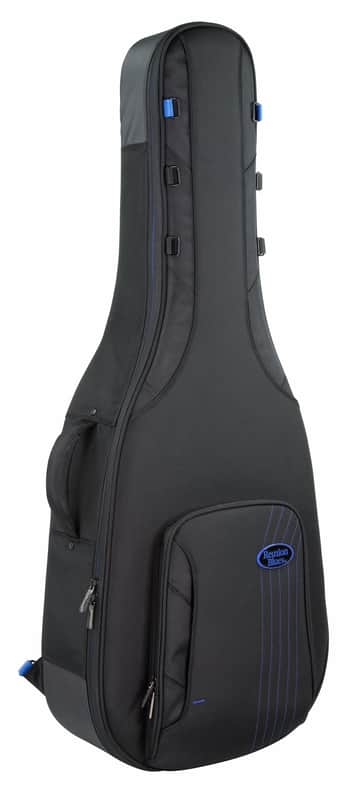 RB Expedition Acoustic Dreadnought Guitar Case image 1