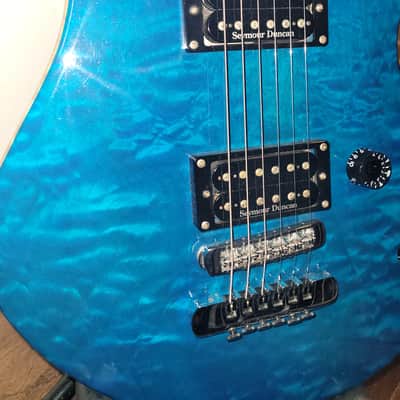 Washburn USA Custom Shop WM100 image 2