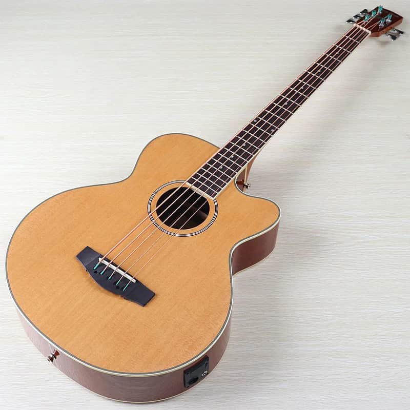Custom 5 String Acoustic Electric Bass, Mahogany Body, Spruce Top Body image 1