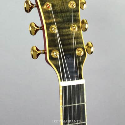 Fibonacci Californian 15" Archtop - 2017 Sienna Sunburst image 11