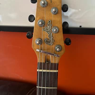 Godin Radiator image 5