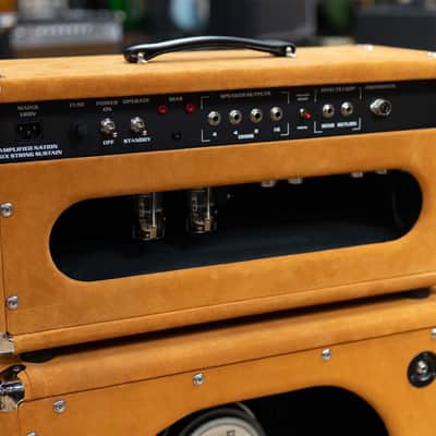 Amplified Nation Six String Sustain 50W Head & 112 Cab – Golden Brown Suede image 9