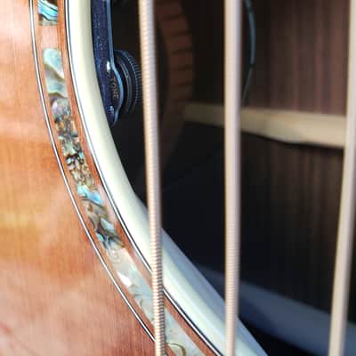 Breedlove Masterclass Focus SE Redwood (2000s) image 3