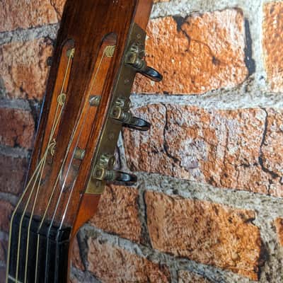 Washburn Parlor 1923 Pre-War II - Brazilian Rosewood back image 8