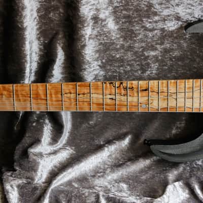 GB Liuteria Boutique Ergal 7 string shark edition image 10