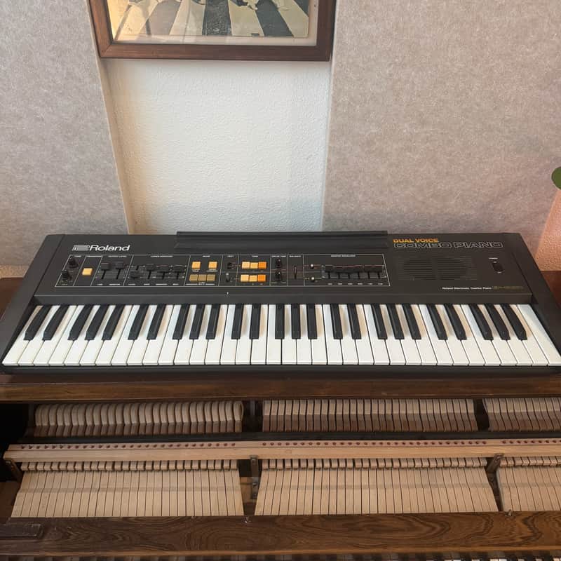 Roland EP-6060 61-Key Dual Voice Combo Piano | Reverb
