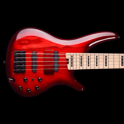 Ibanez ANB205 Adam Nitti Signature 2019 - Transparent Wine Red Burst image 1