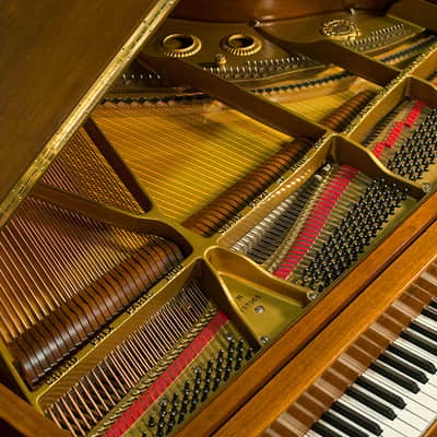Baldwin Baby Grand Piano - Model M - Made in USA 1963 - FREE Delivery in USA image 13
