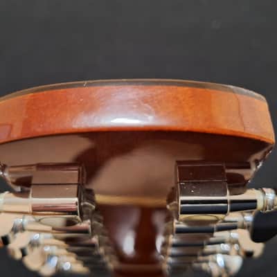 Sakura Super Jumbo 12 String - Natural Gloss-Nice! image 18