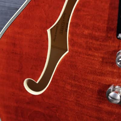 Eastman T59/TV Classic Semi Hollowbody Electric Guitar image 15