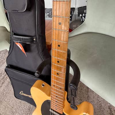 Danocaster Single Cut image 20