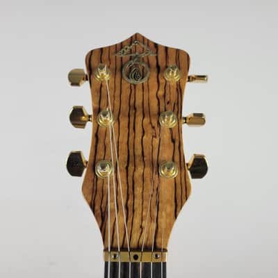 2009 Alembic Darling - Zebrawood With OHSC image 3