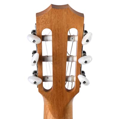 Taylor Academy Series A12E-N Nylon Concert image 7