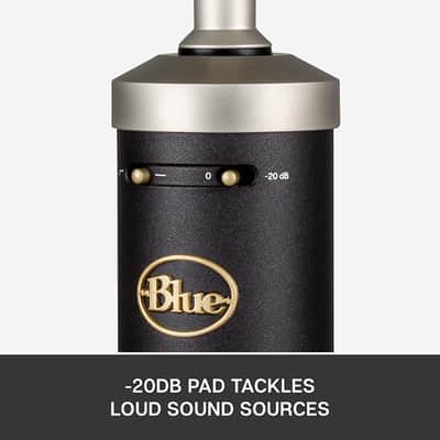 Blue Baby Bottle SL XLR Condenser Microphone for Recording and Streaming, Large-Diaphragm Cardioid C image 7