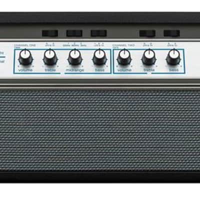 Ampeg Heritage 50th Anniversary SVT Head 300 Watts image 2