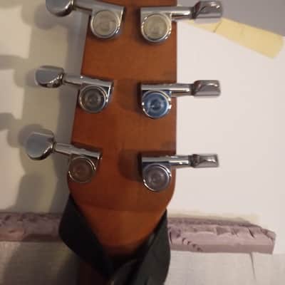 Seagull Entourage Dreadnought 2018 - Autumn Burst image 22