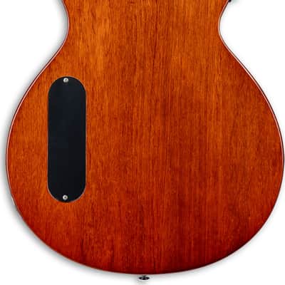 ESP LTD TL-6 Thinline Acoustic-Electric Guitar, Quilted Maple Top, Charcoal Burst image 3