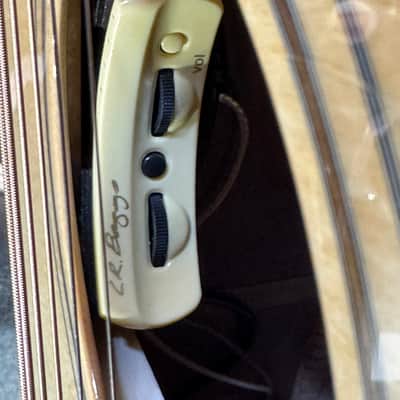 Furch GREEN Gc SX a BACKSTAGE LIMITED PURPLE HEART Lr Baggs Athem image 13