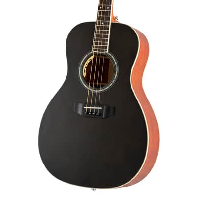 Ezra Tenor Guitar-Black Top image 3