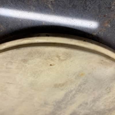 14 “ WFL Calf skin snare drum heads-1950s ? Batter & snare image 8