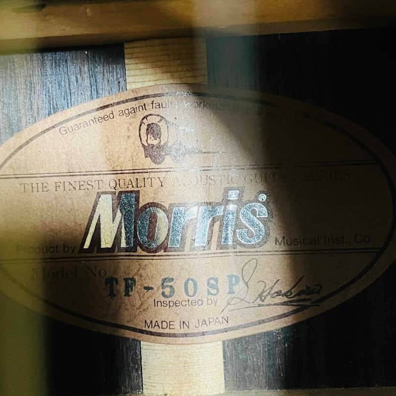 Morris TF-50SP Brazilian Rosewood Vintage Acoustic Guitar Very