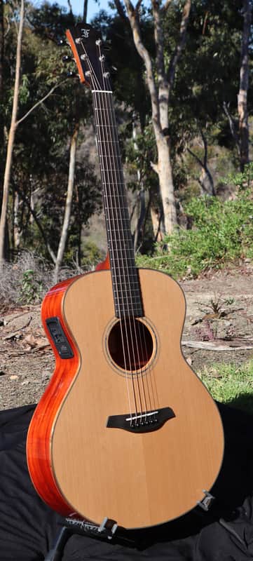 Furch Yellow Plus G-CP w/ LR Baggs Stagepro Anthem Pickup System image 1