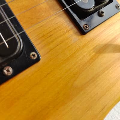 Washburn N2 1996 image 23