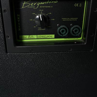 Bergantino NXT112 image 2