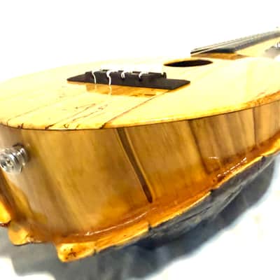 Turtle Shell Tenor Ukulele image 10
