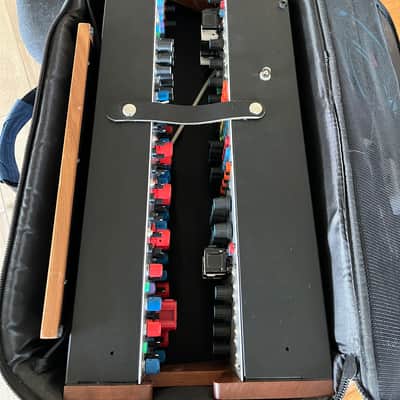 Special Buchla 201e-10 Powered Cabinet with extras! image 2