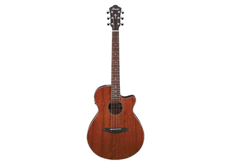 Ibanez AEG220 Grand Concert image 1