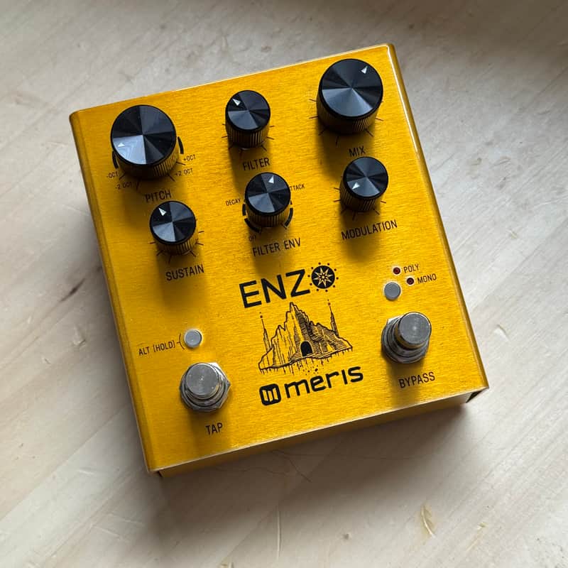 Meris Enzo
