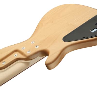 Sadowsky MetroLine 24-Fret Singlecut Vintage Bass 5 String, Red Alder Body, Natural Transparent Satin image 6