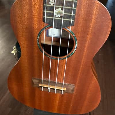 Cordoba Protege Ukelele Uke 2015? - Wood Nice Case Stand Like New image 3