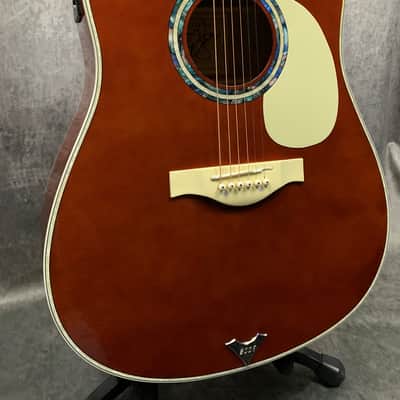 Esteban VL-200 Acoustic/Electric Prototype 2009 image 1