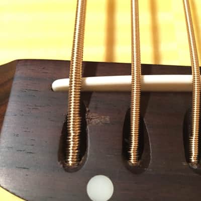 JB Player JBEAB4000NA 5-String Acoustic Electric Bass image 4