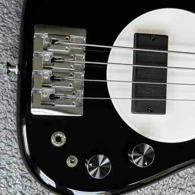 FleaBass Junior 2009-2011 - Black White “The Wild One” - Bartolini 2J Squared image 10