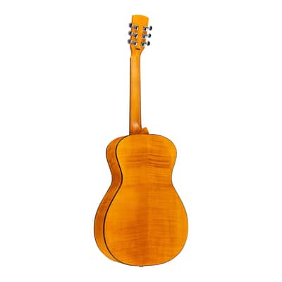 Epiphone Dobro Hound Dog Deluxe Round Neck - Vintage Brown image 4