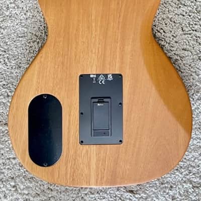 Fender Highway Series Acoustic Electric Parlor Performance Guitar with gig Bag image 1