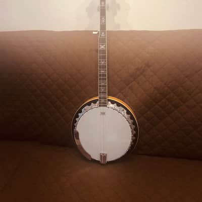 Washburn B10 Americana Series Remo Top Wood Mahogany Neck 5-String Banjo w/Mahogany Resonator image 3