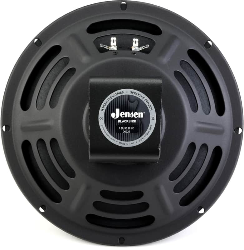 Jensen Blackbird 10-40 10-inch 40-watt Guitar Amp Speaker - 8 ohm image 1