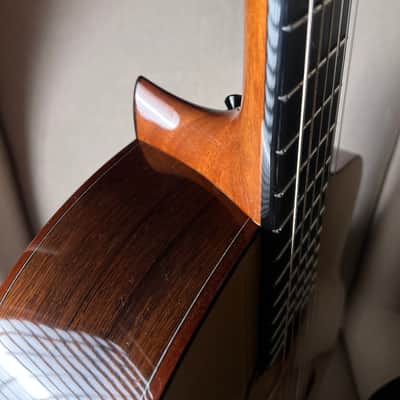 Zucq Giulia Nylon Crossover Classical Baggs Anthem Madagascar Rosewood image 7