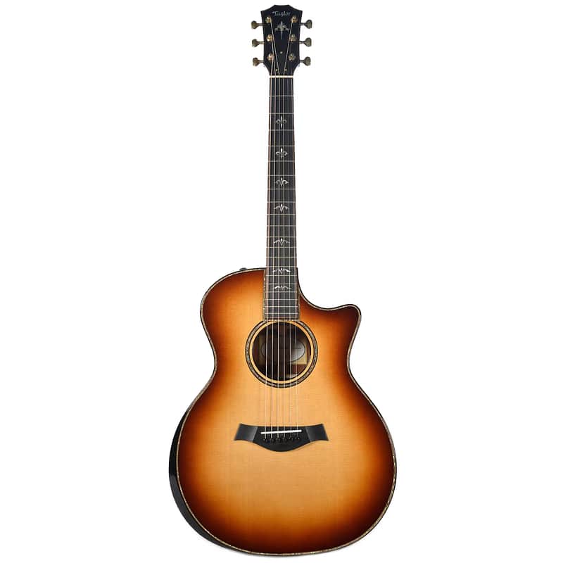 Taylor 914ce Fall LTD Sitka Spruce / Cocobolo image 1