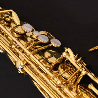 Selmer Alto Saxophone SAS711 Professional Model Lacquer Finish Used 23094427 image 4