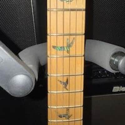 PRS SE Swamp Ash Special SA522IB 115392:IB image 3