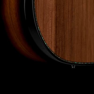 Taylor Next Generation Builder's Edition 914ce Honduran Rosewood/Sinker Redwood #66003 image 8