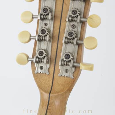 1922/23 Vega Little Wonder Tenor Banjo image 21